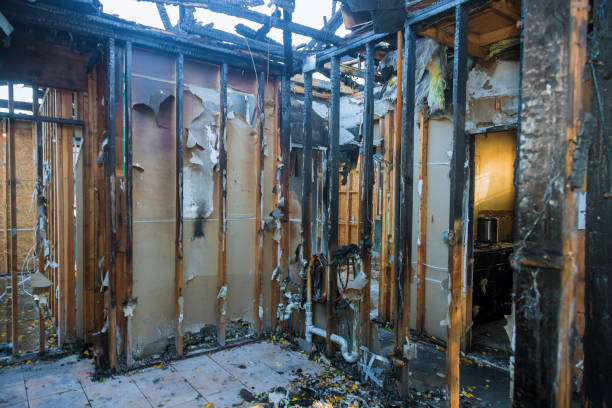 Professional Soot Cleanup technician working in South Saint Paul, MN